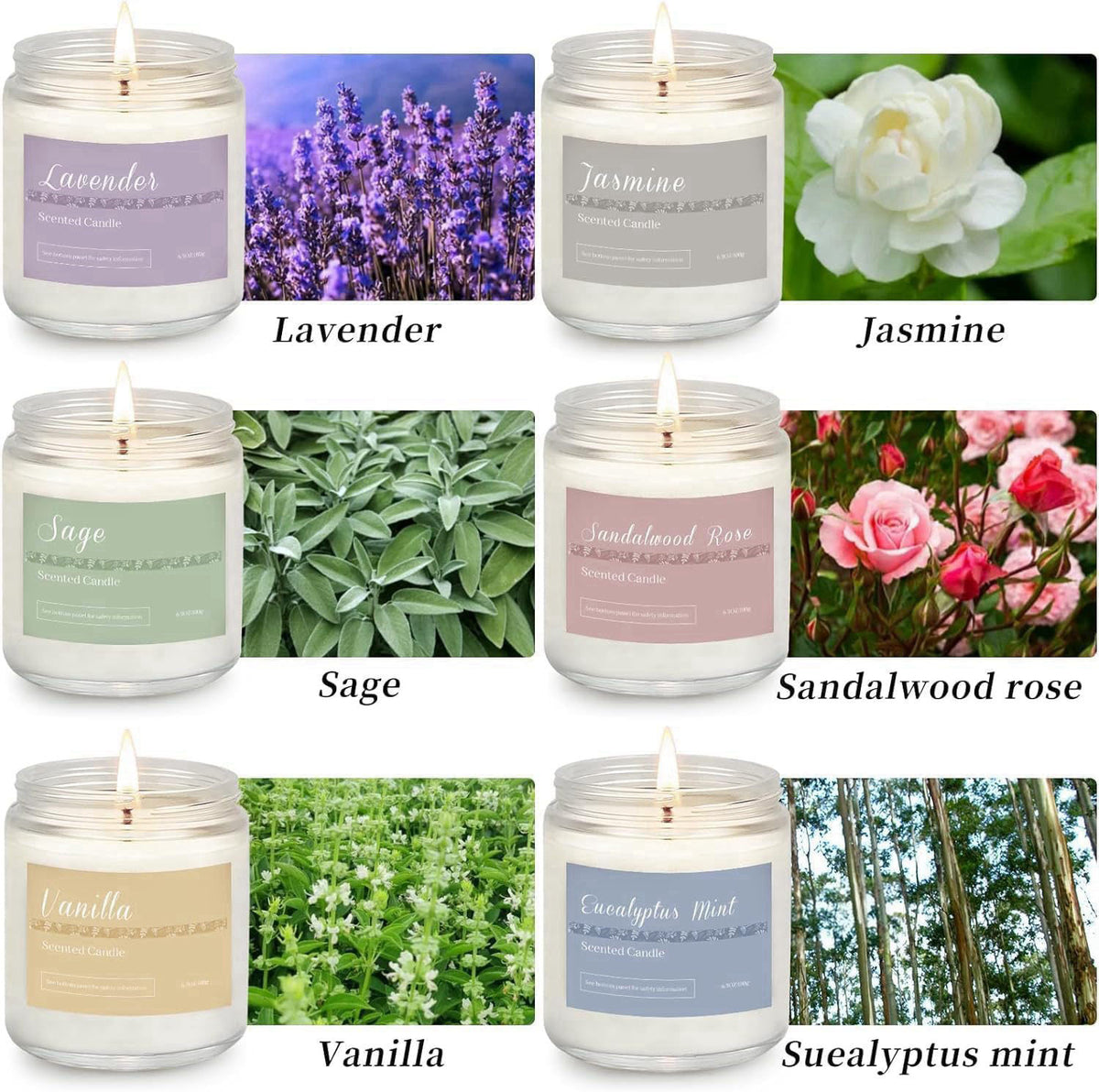 PELN Scented Candles Gift Set for Women, 6-Pack Aromatherapy Candles for Home – full view