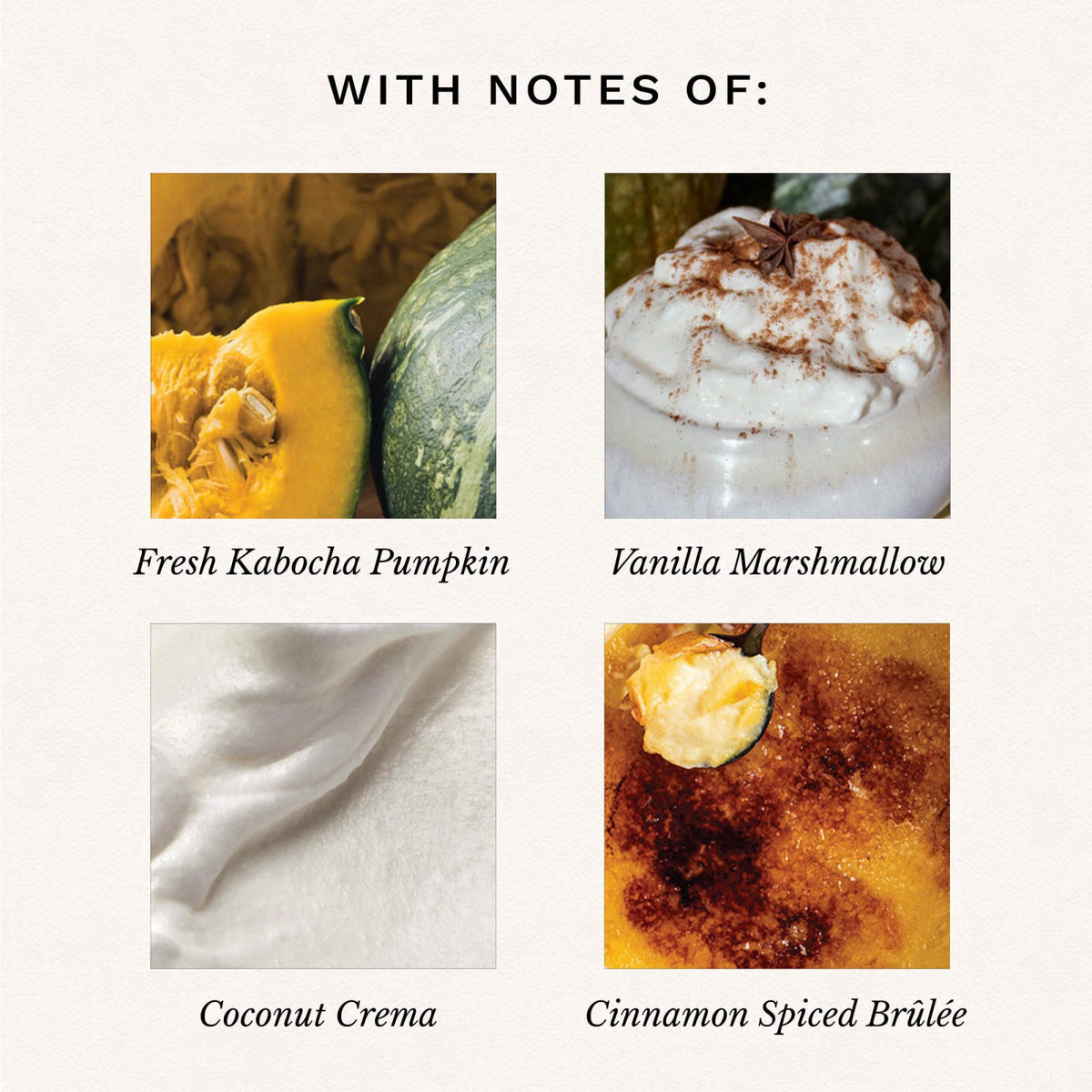 Voluspa Spiced Pumpkin Latte Large Scented Candle Jar 18 Oz by Premium Selection — view 4