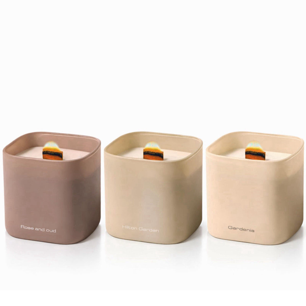 Lumi Brand Set of 3 Premium Scented Soy Candles Gift Set | Nature's Bloom Collection - Gardenia, Hilton Garden and Rose 