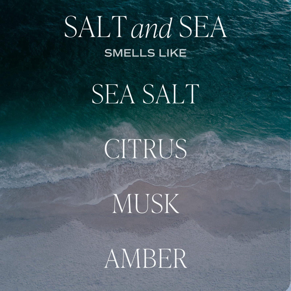 Sweet Water Decor Salt and Sea Reed Diffuser - Sea Salt, Citrus, Musk & Amber Scent - Long-Lasting 4 Month Home Fragranc