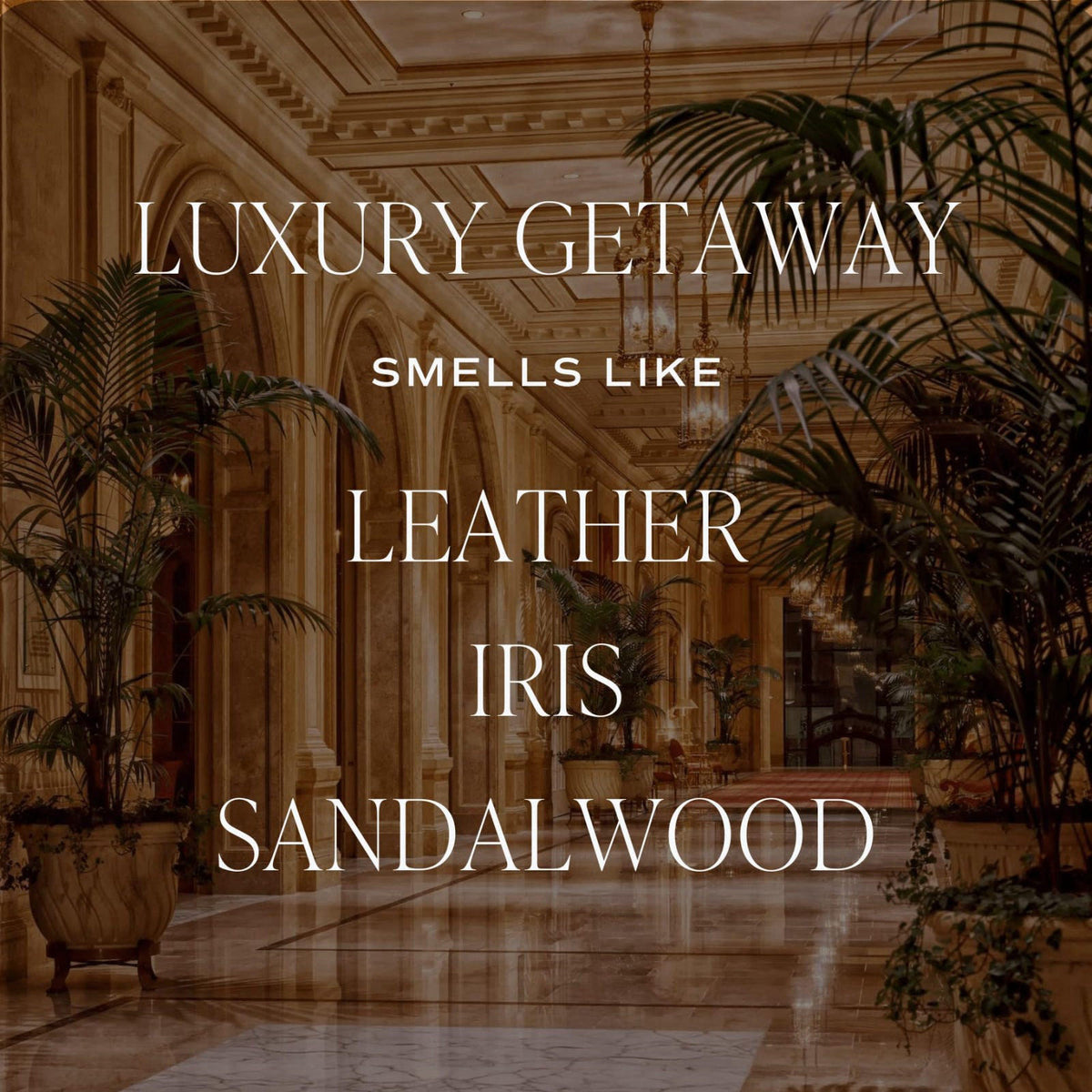 Sweet Water Decor Luxury Getaway Reed Diffuser – Hotel Scent Diffuser with Long-Lasting Premium Fragrance of Leather, Ir