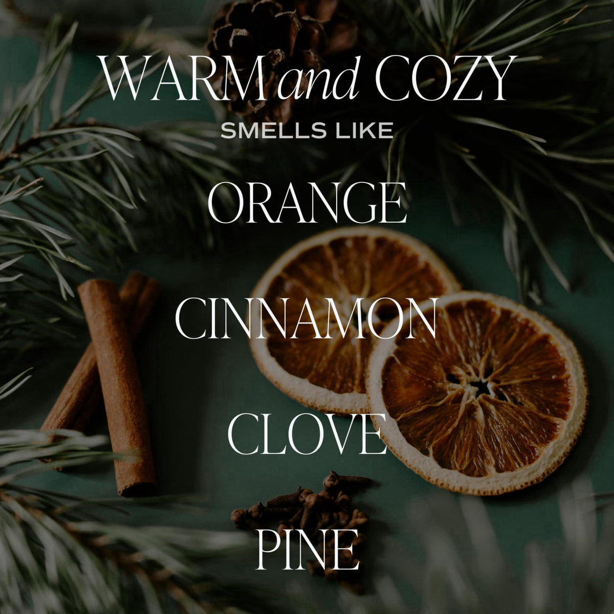 Sweet Water Decor Warm and Cozy Reed Diffuser Set - Fall and Winter Reed Diffuser Set for Home - Orange, Cinnamon, Ginge