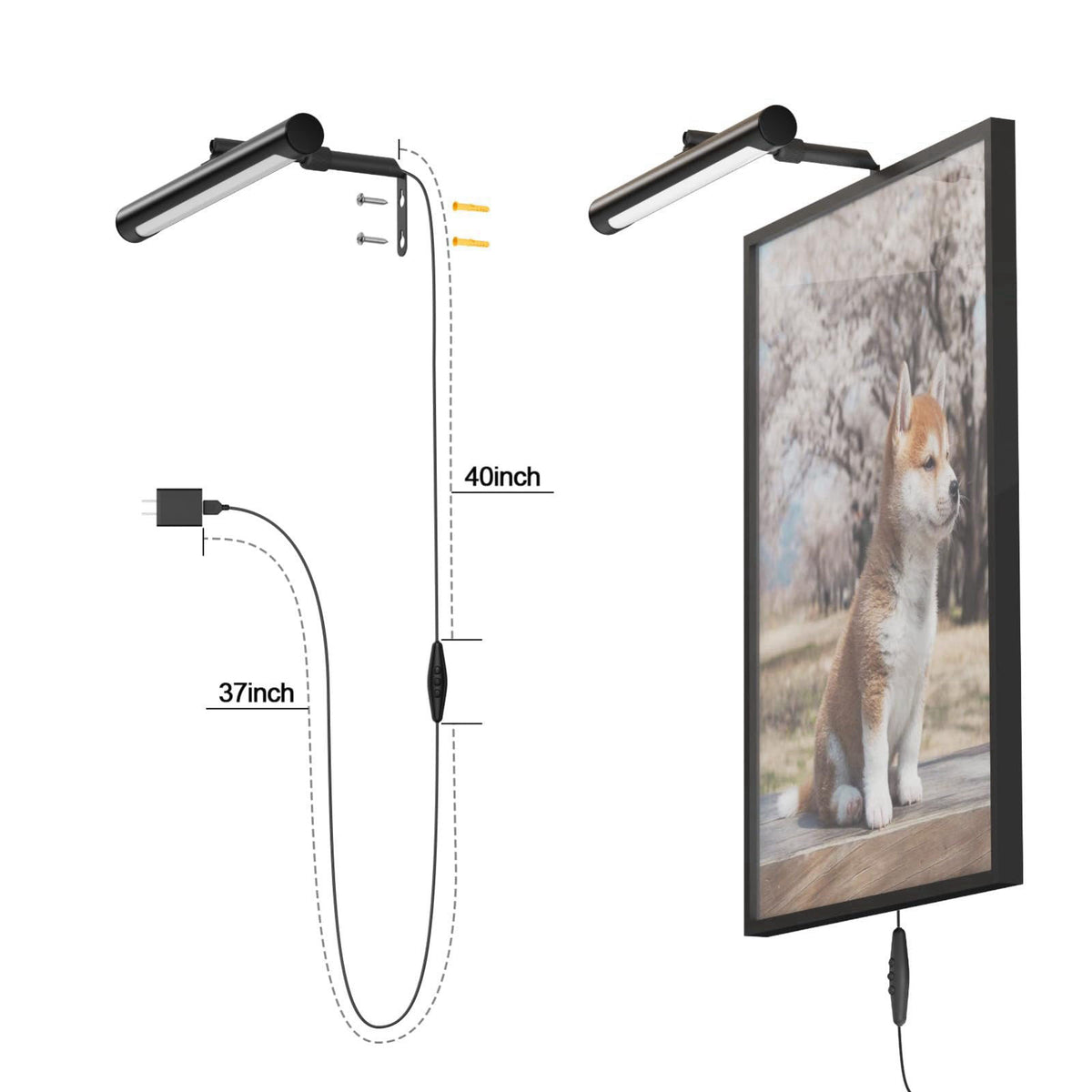 Coinmit 12" Plug in Picture Light 4W Black Art Light with Remote – alternate angle
