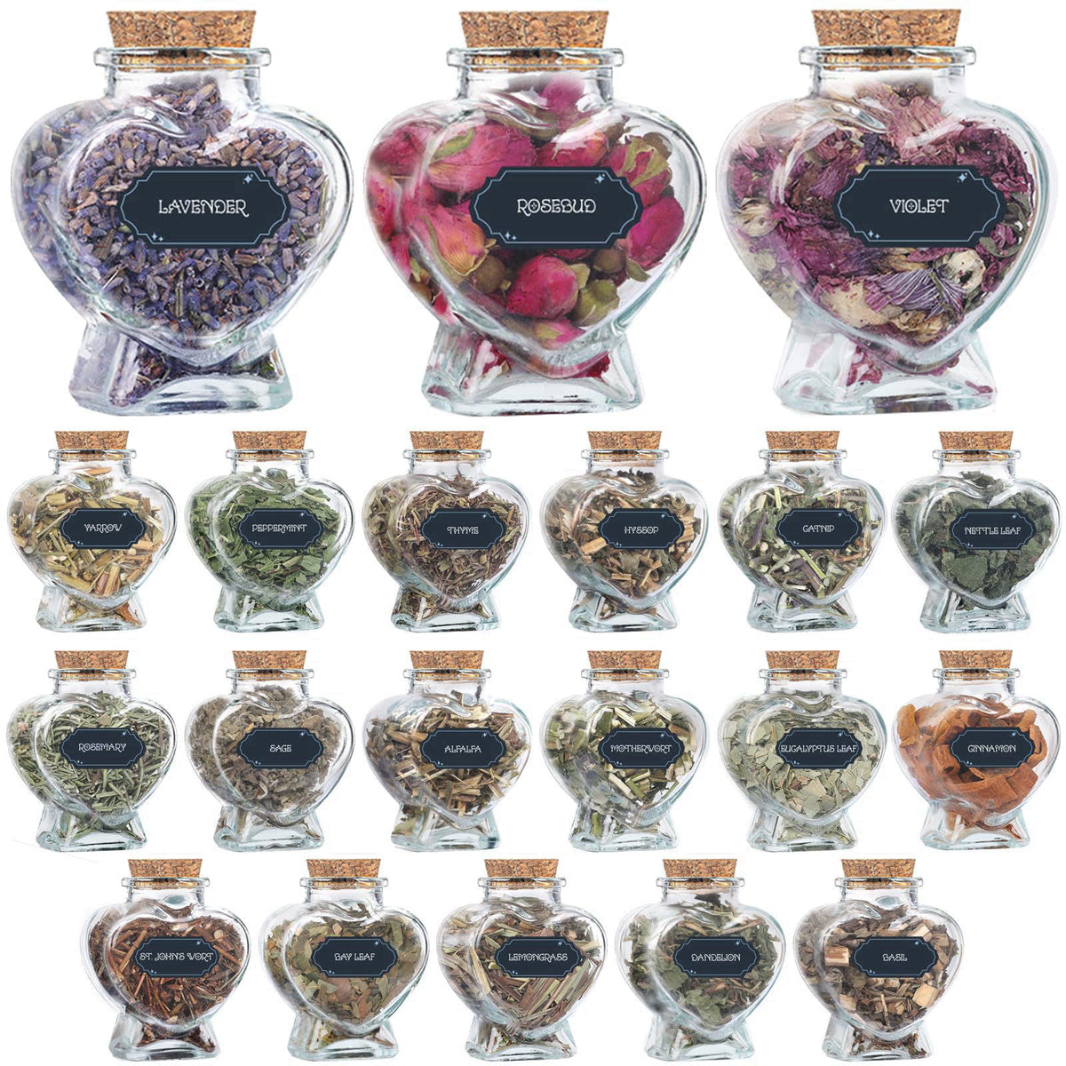 DreamdaMoonnly – Dried Flowers on display