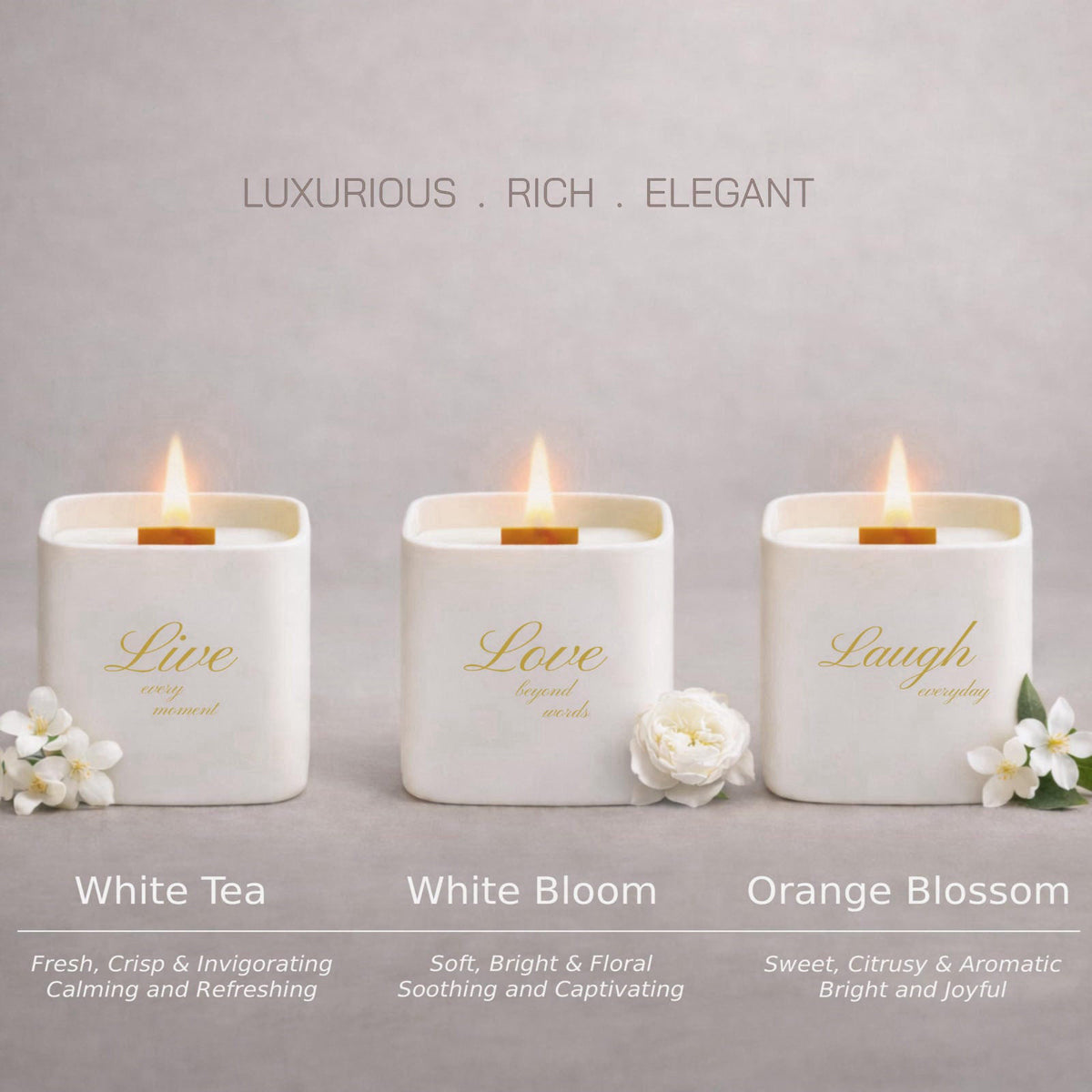 Lumi Brand Set of 3 Premium Scented Soy Candles Gift Set | One Life Collection - Orange Blossom, White Tea & White Bloom