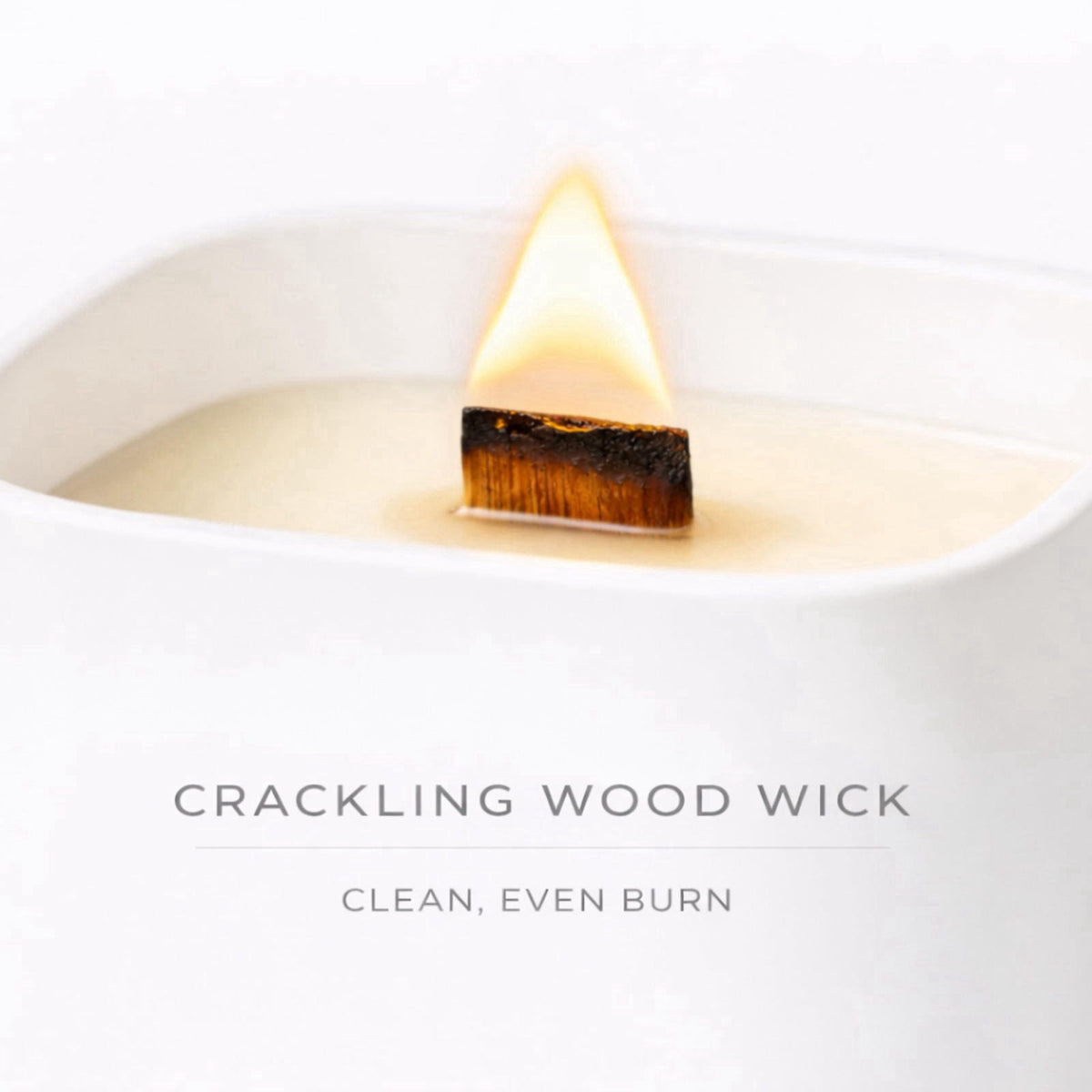 Lumi Brand Set of 3 Premium Scented Soy Candles Gift Set | One Life Collection - Orange Blossom, White Tea & White Bloom
