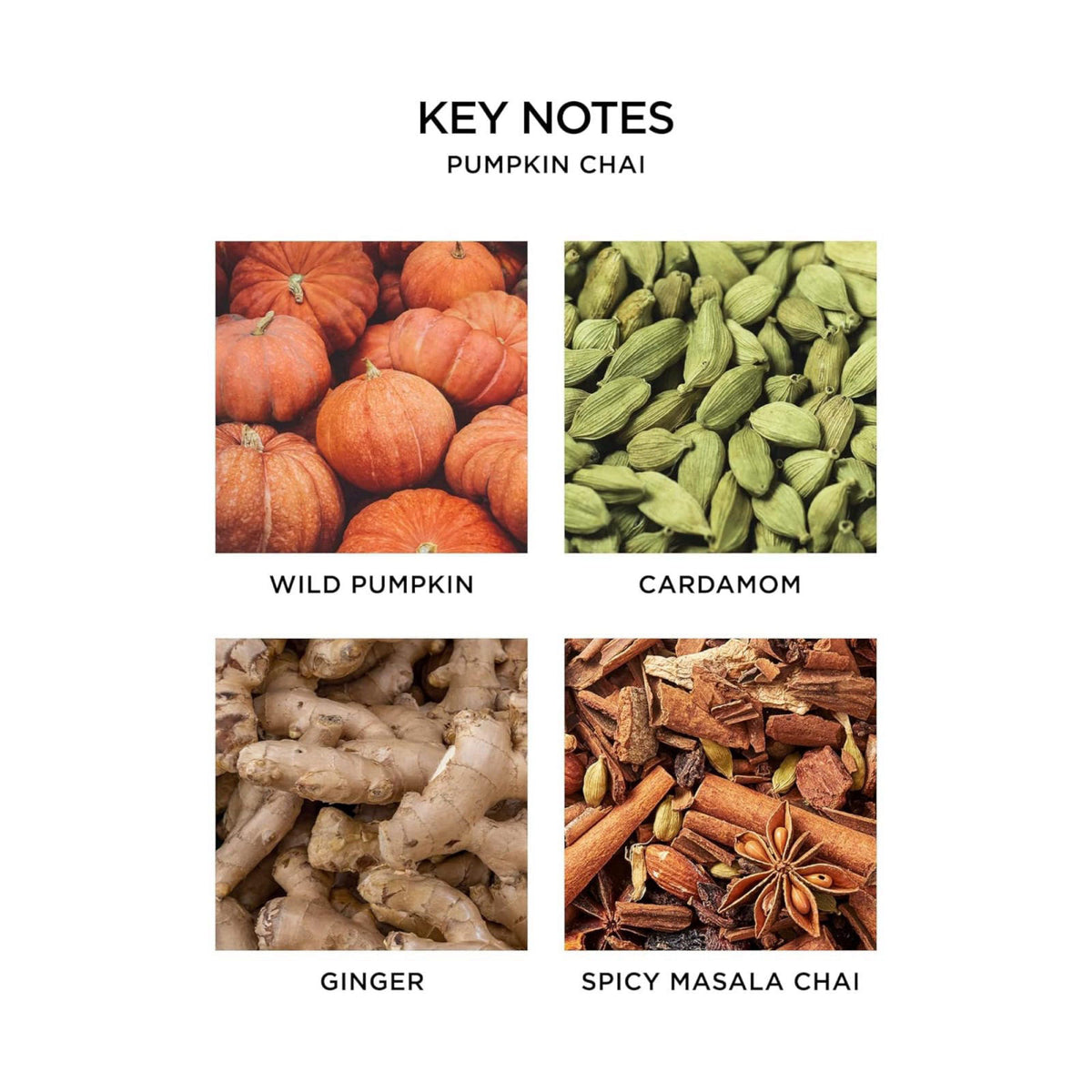 NEST New York Scented Classic Candle Pumpkin Chai by Premium Selection — view 5