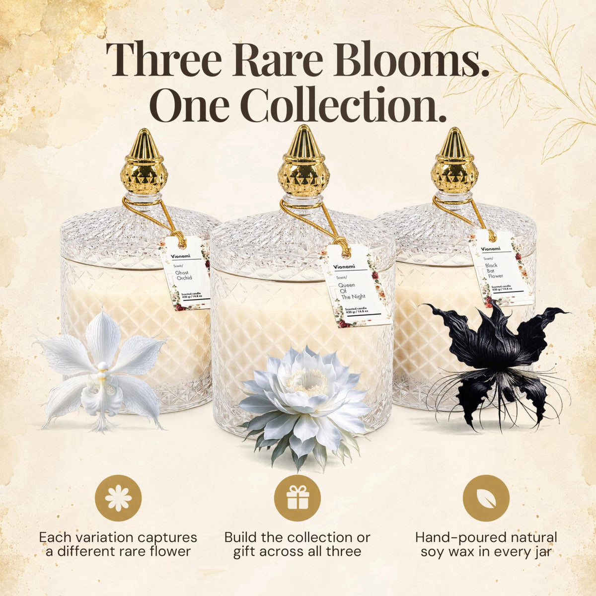 VIONAMI Queen of The Night Rare Flower Fragrance Luxury Scented Candle Gift – packaging and label