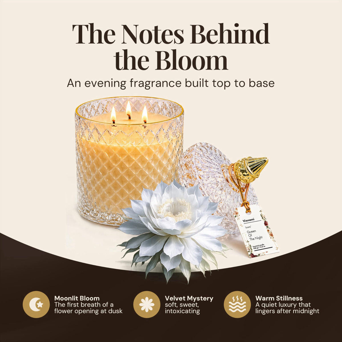 VIONAMI Queen of The Night Rare Flower Fragrance Luxury Scented Candle Gift – full view