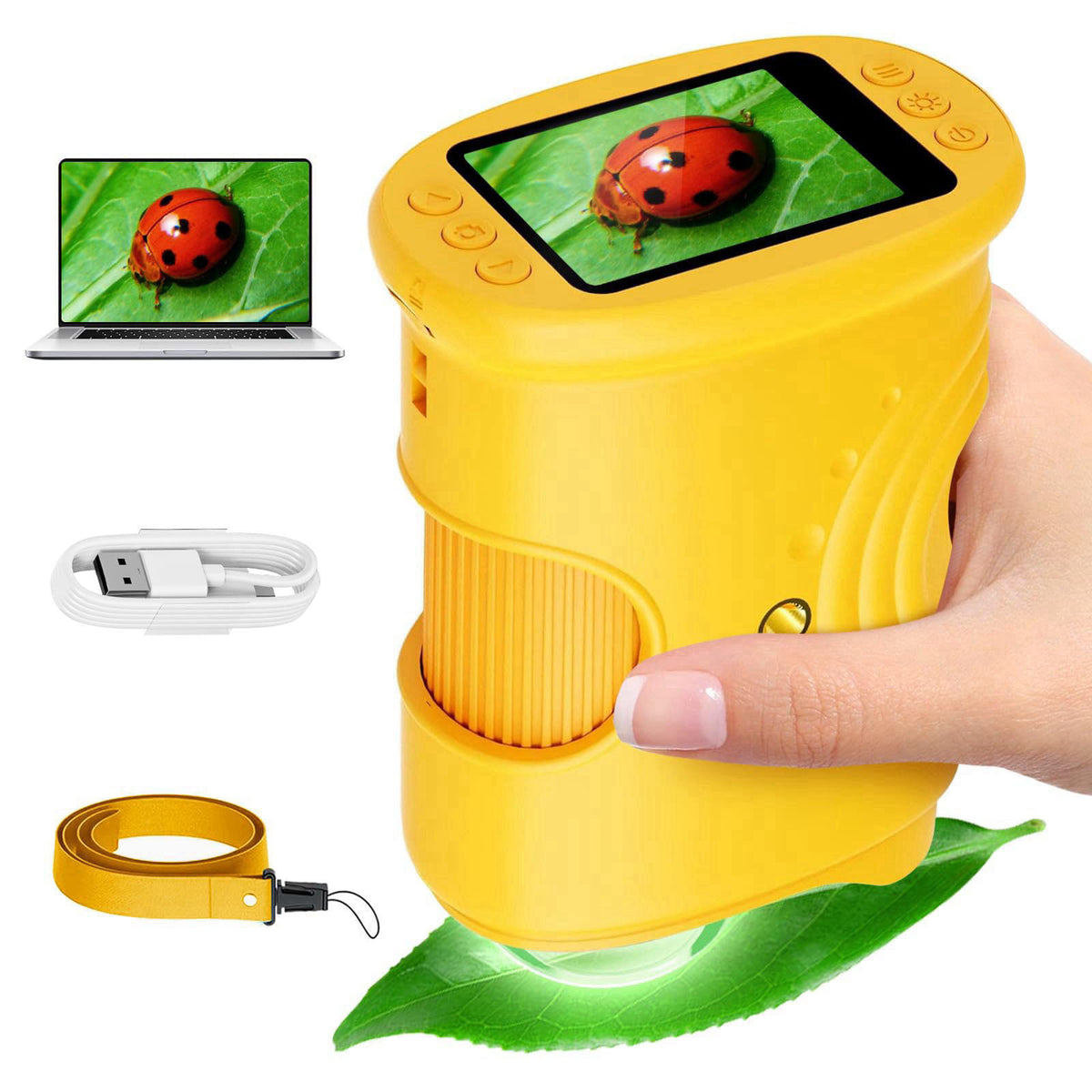 Alotwan 1000X Microscope for Kids, Handheld Digital Microscope with 4K HD Screen