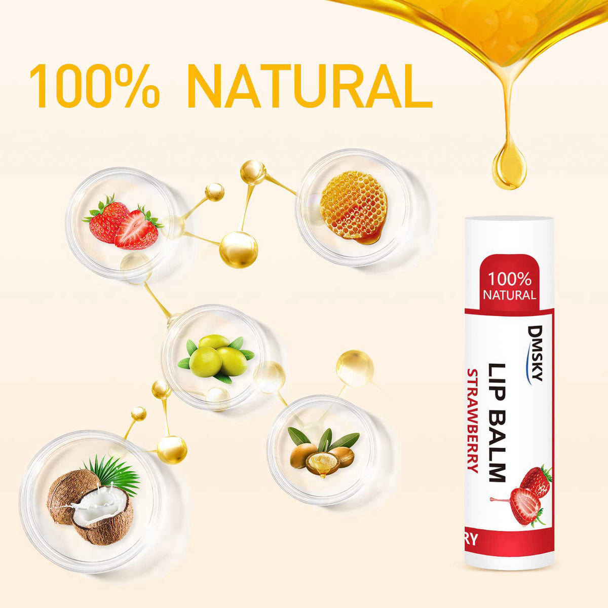 DMSKY 60 Pack Lip Balm Bulk, Natural, 12 Flavors – packaging and label