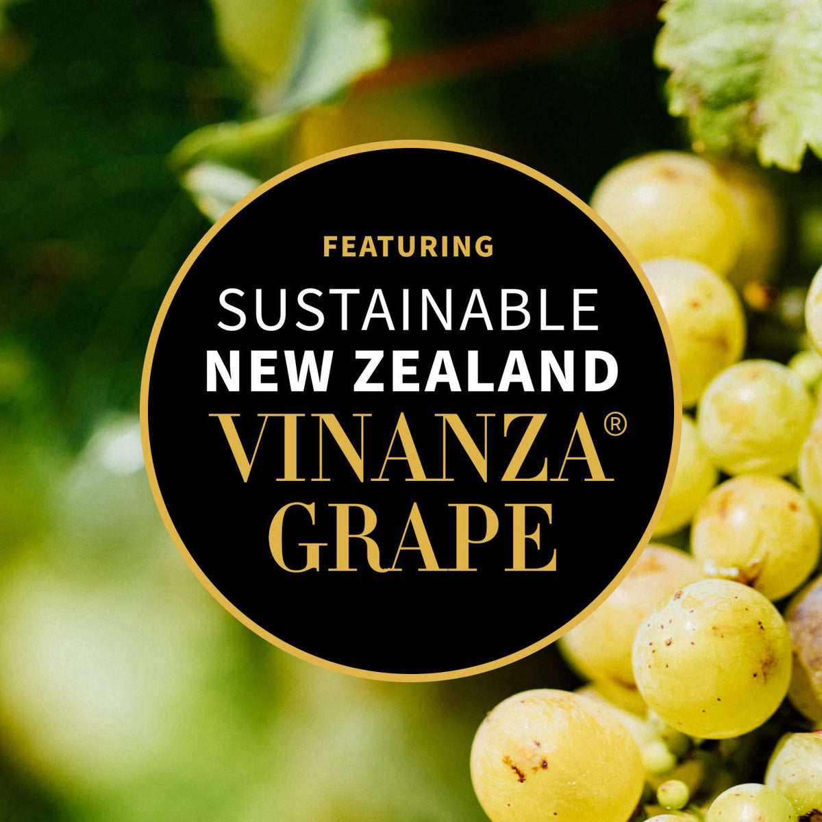 ANTIPODES Grapeseed Butter Cleanser, 75 ML – alternate angle