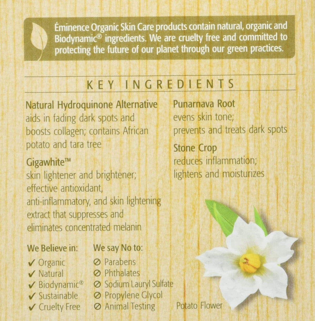 Eminence Bright Skin Overnight Correcting Cream for Unisex - 2 oz Cream – alternate angle