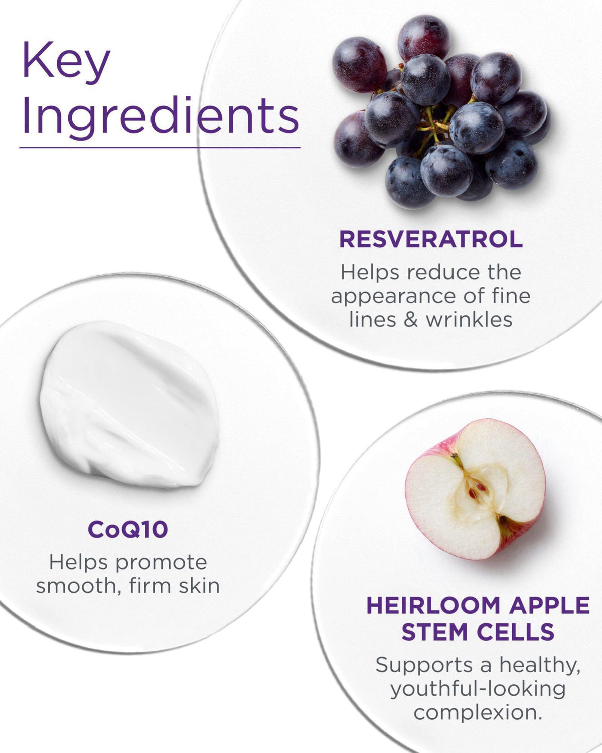 Andalou Naturals Resveratrol Q10 Night Repair Cream, For Dry Skin, Fine Lines & Wrinkles, For Softer, Smoother, Younger 