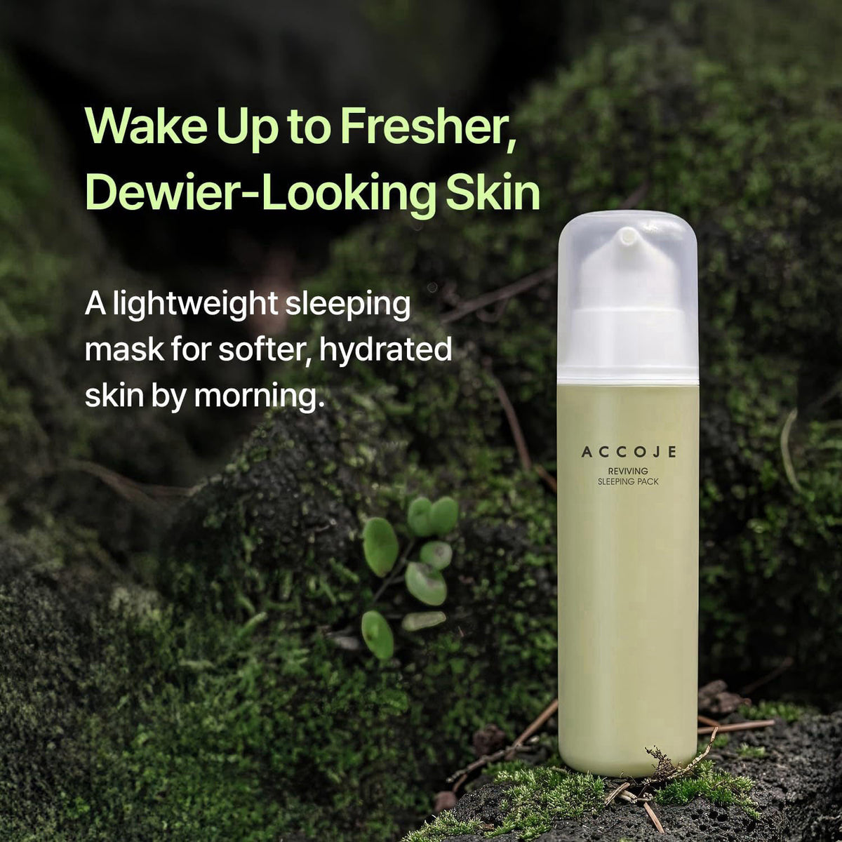 ACCOJE Reviving Sleeping Pack, Jeju Honey & Propolis Hydrating Overnight Mask, Lightweight Gel Cream for Moisturized, Ra