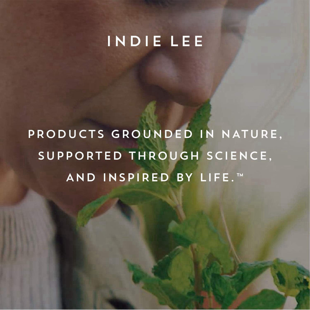 Indie Lee – Face Oil on display