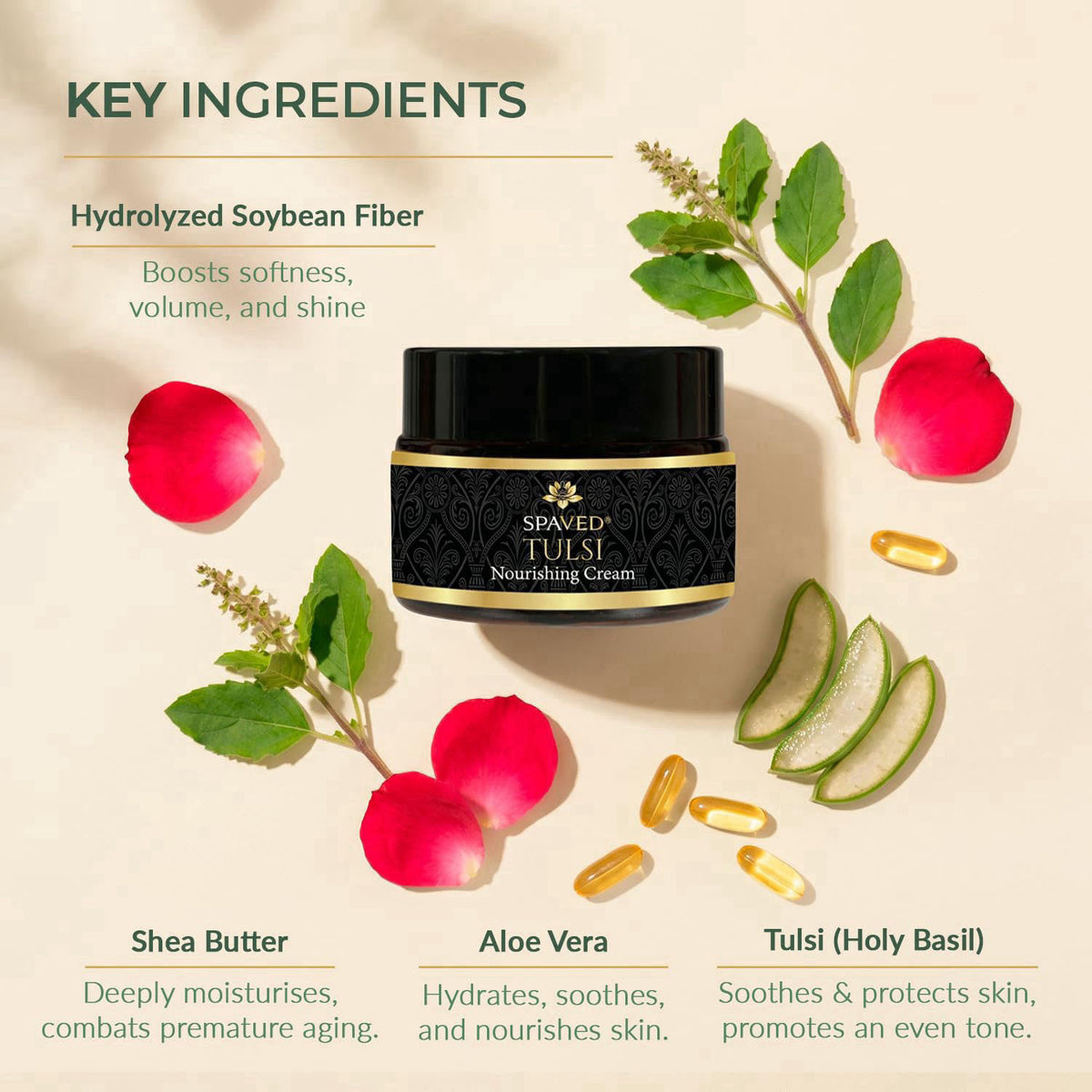 SPAVED Tulsi Face Cream 1.7 oz – Anti-Aging, Barrier Support & Hydrating Moisturizer with Shea Butter, Aloe Vera & Vitam