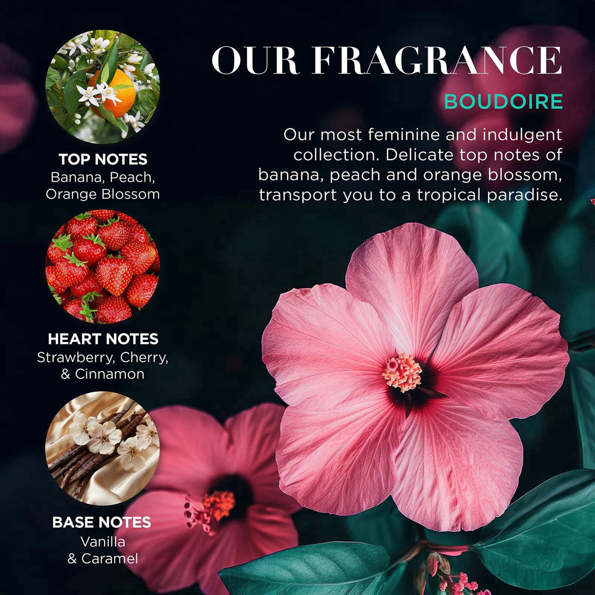Baylis & Harding Boudoire Luxury Pamper Present, Gift Set for Women – full view, size Pack of 2