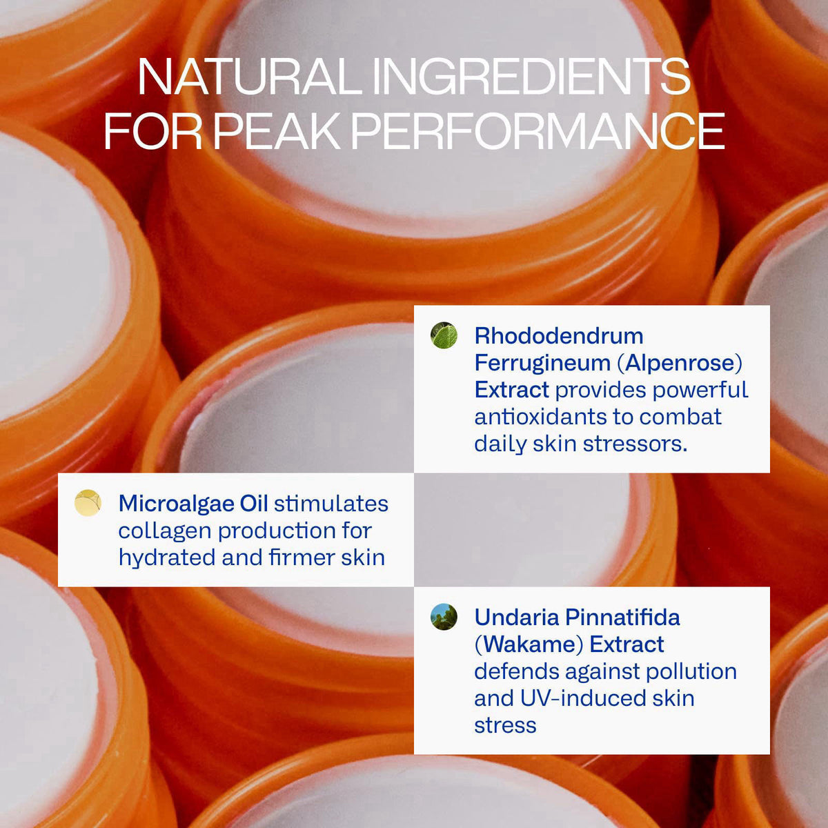 Freaks of Nature Peak Performance Sun Stick SPF 50, Face Sunscreen, 2.6oz – full view