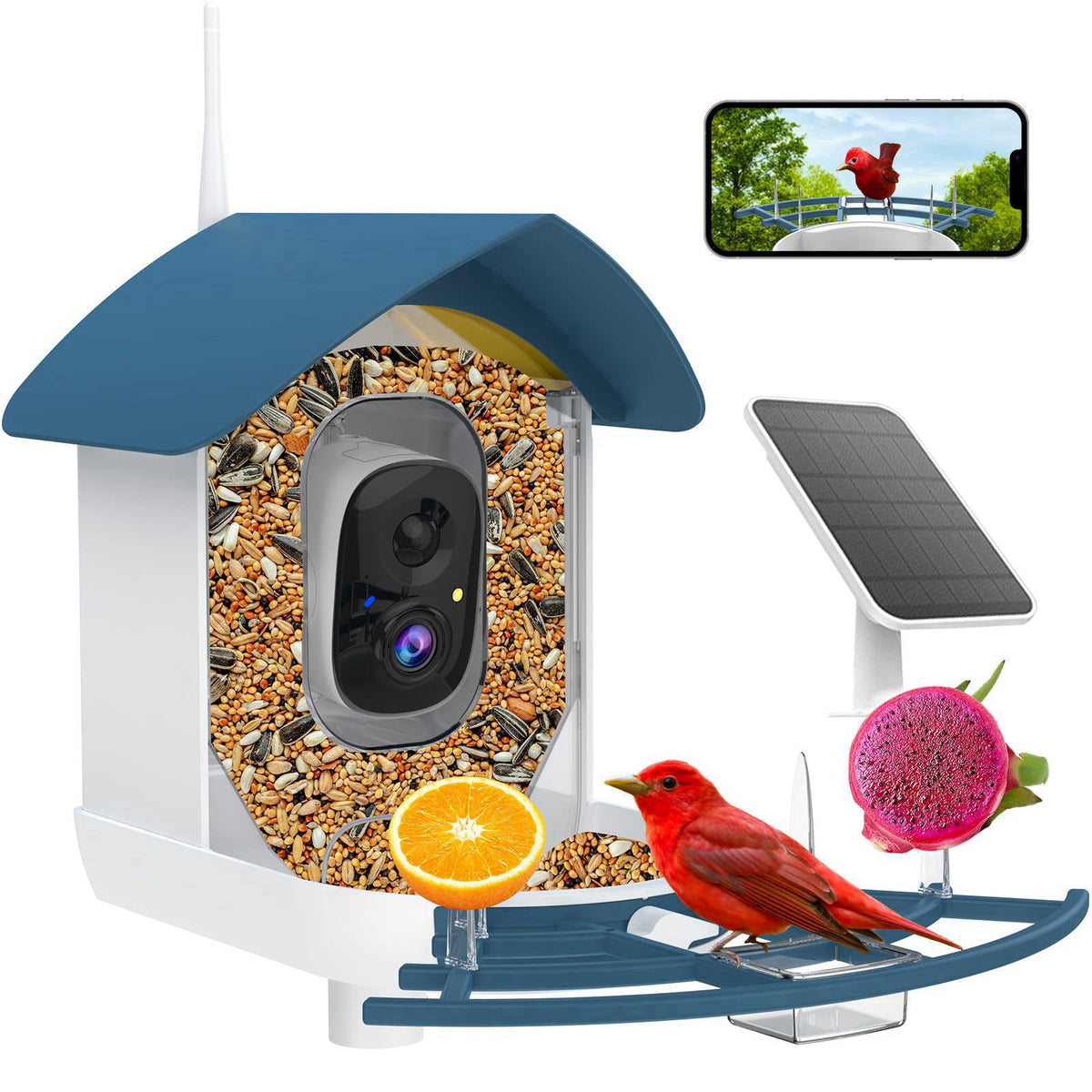Fazoxo Bird Feeder with Camera,Birds House Camera,Solar Powered,AI Bird ID – Navy Blue, Acrylonitrile Butadiene Styrene 