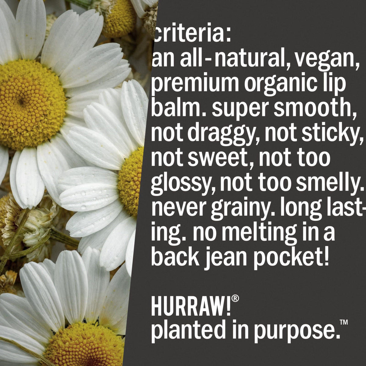 Hurraw! Moon Night Treatment (Blue Chamomile, Vanilla) Lip Balm, 5 Pack: Organic, Certified Vegan, Cruelty and Gluten Fr