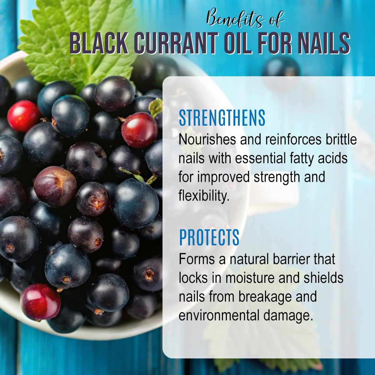Renewalize Black Currant Seed Oil skin moisturizer in a 4 fl oz bottle, natural carrier oil for nourishing skincare.
