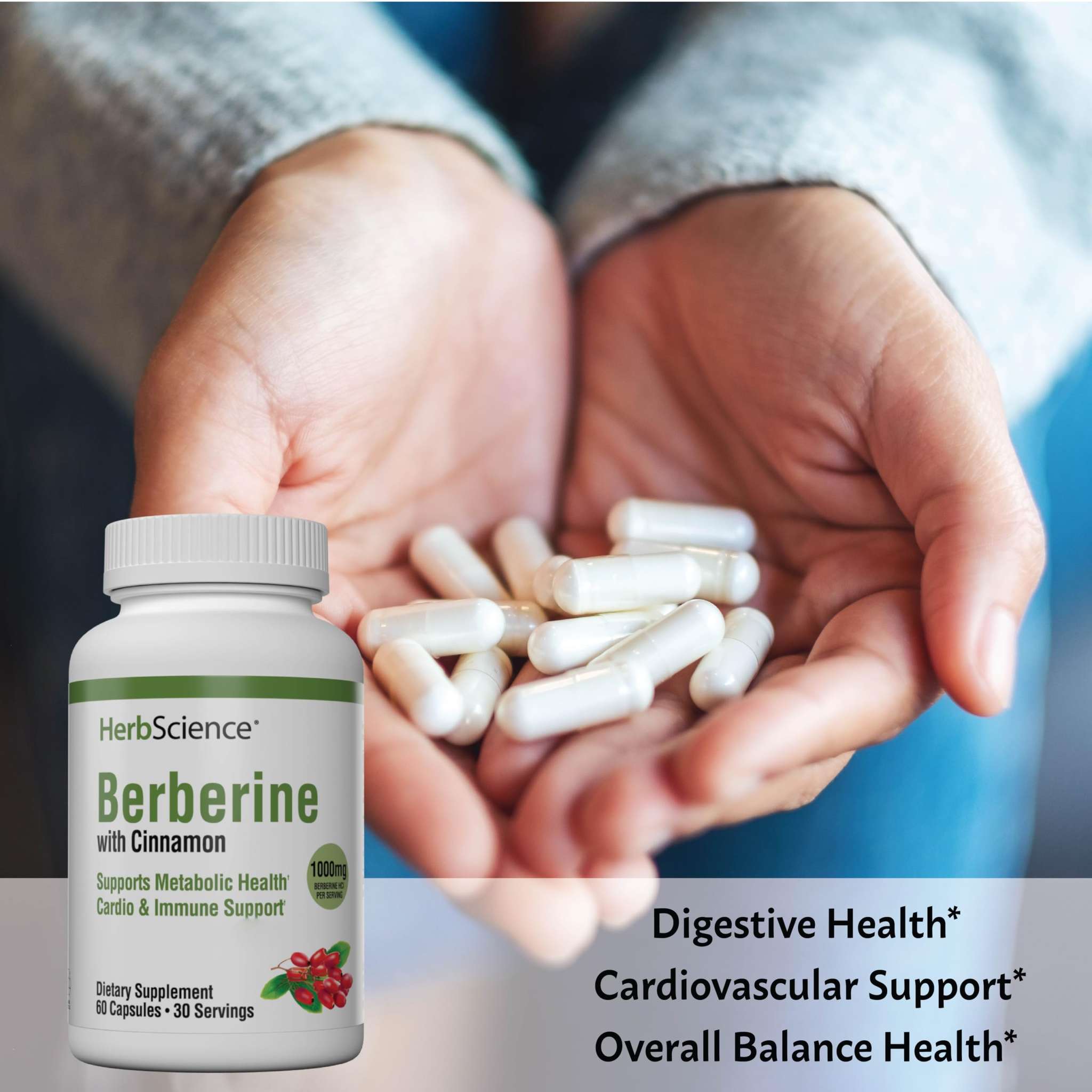 Windmill Herb Science Berberine 1000mg herbal supplement capsules, 2-pack, featuring dietary support with natural herbal ingredients.